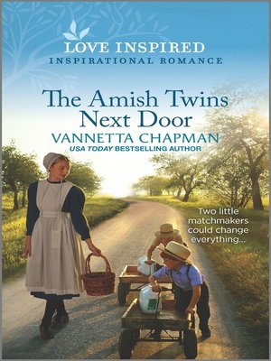 cover image of The Amish Twins Next Door